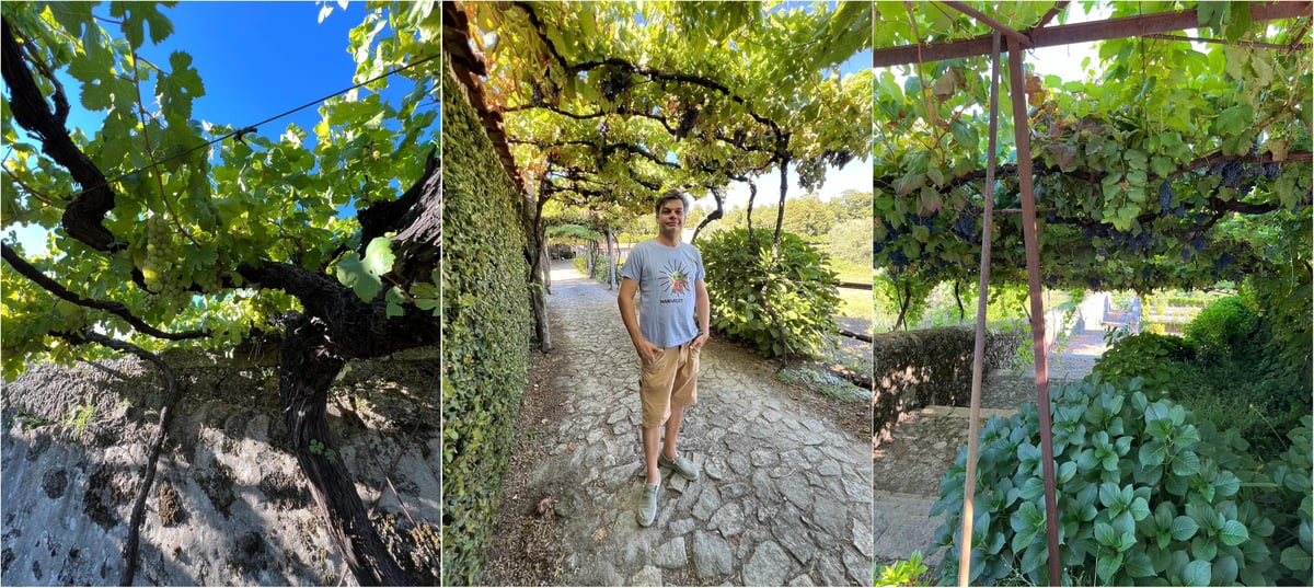Système de pergola